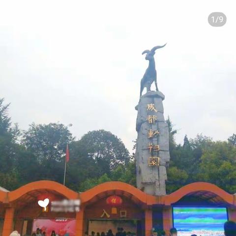 成都动物园——四(3)班 魏天雯