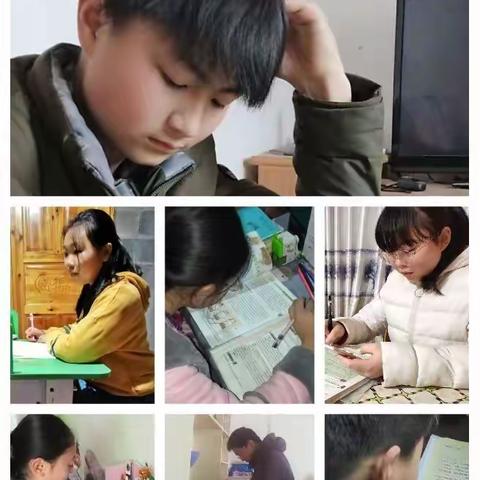 抗击疫情，静待花开！