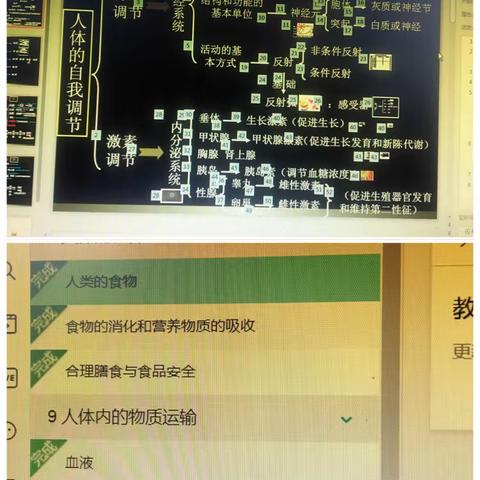 疫情期间，网学不止，备课先行