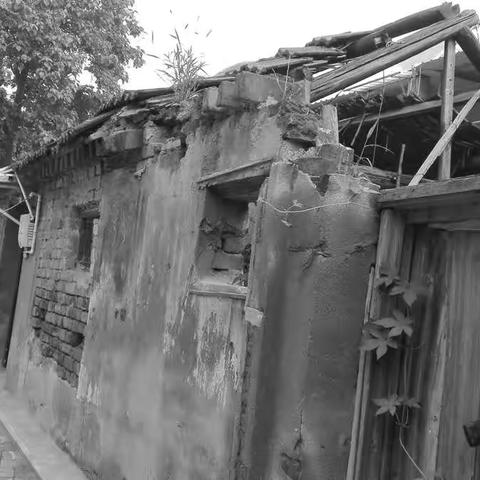 我的老街我的巷