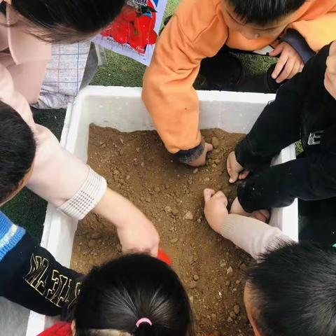 错位节拍的美篇