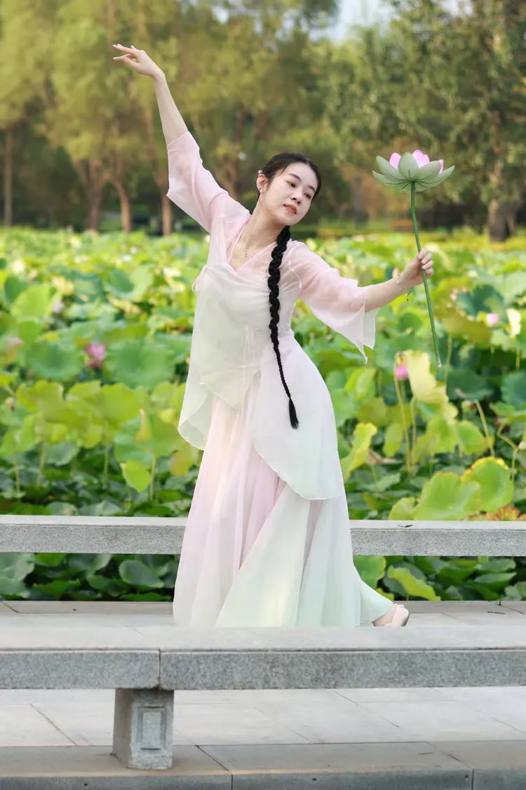 荷花舞韵