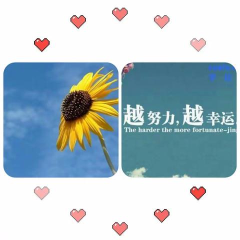 疫情中别样的青春课堂