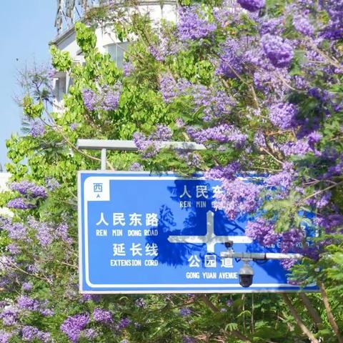 临江仙•五月茶城即景