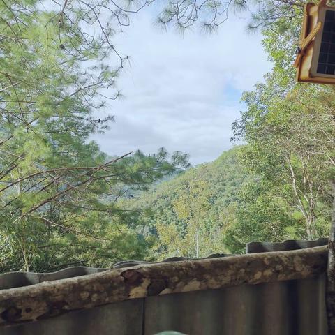 守边日记：木屋随想