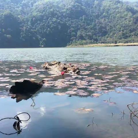 春山胜事，掬水弄清