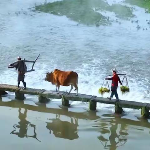久别的农村（场景）
