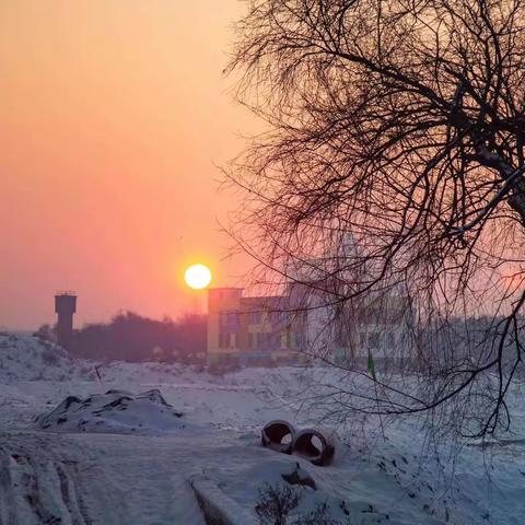 冰雪之情
