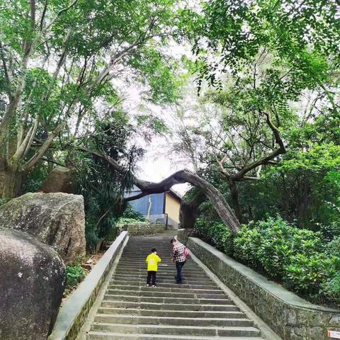 今日再登东山岭