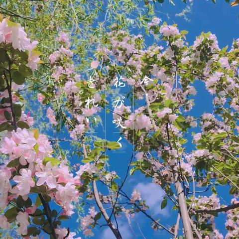 同心向前行，共话“悦”成长