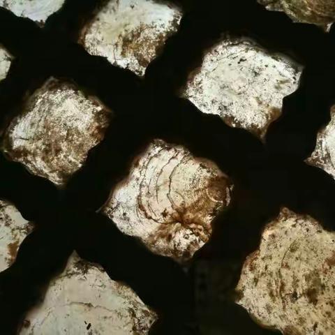 风霜碾过 岁月有痕