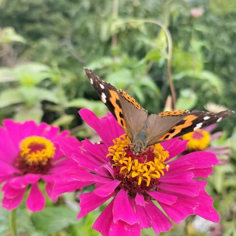 第一次写生之旅