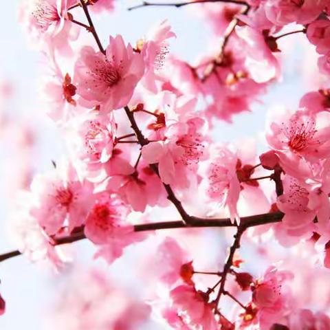 【绿小·六数】 带着生活“趣”学习——夯实基础不停歇