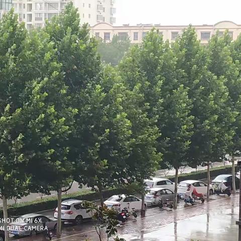 浇灭酷暑的雨