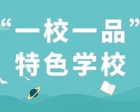 一校一品展风采 体教融合谱新篇——记邦巴小学跳绳特色活动现场观摩会