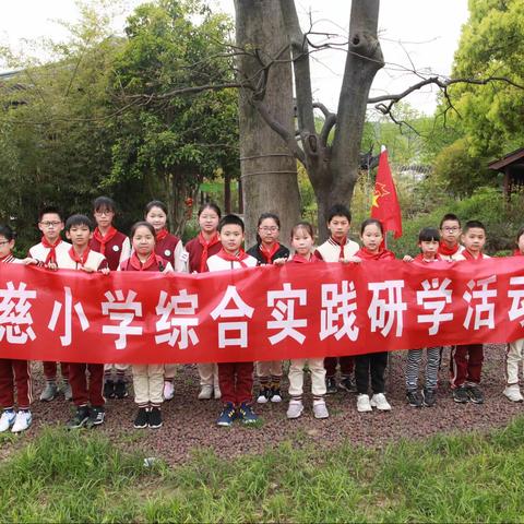 探寻红豆文化 传承旧山精神—— 记报慈小学综合实践活动