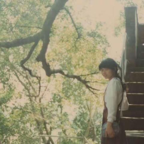 一只木箱的情怀