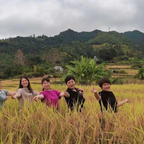 乡村秋色浓  喊你来醉秋