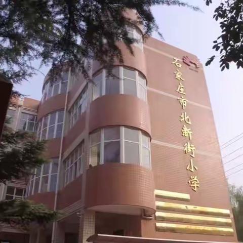 【“双减”在北新】 春天是最好的成长课堂——北新街小学科学学科实践活动侧记