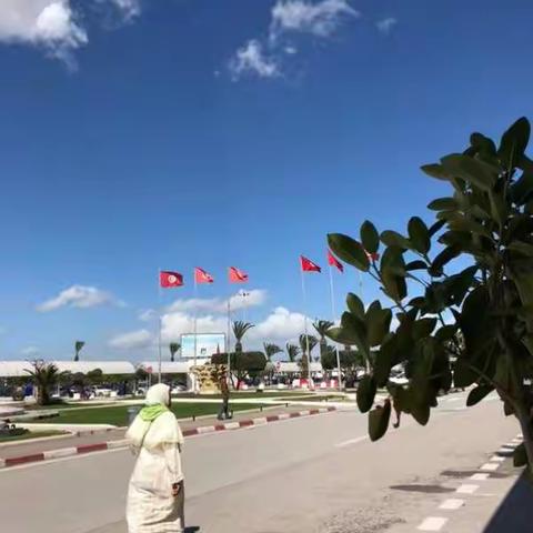 突尼斯🇹🇳共和国位于北非中部，是一个以阿拉伯人为主的国家，其中穆斯林占全国人口95%以上。