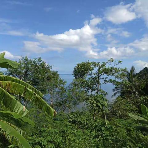 阳光 沙滩 蓝色的海水带给人们那种无比喜悦 赏识 悠闲的心情 一语难表。任何一景致都是美丽的画卷。