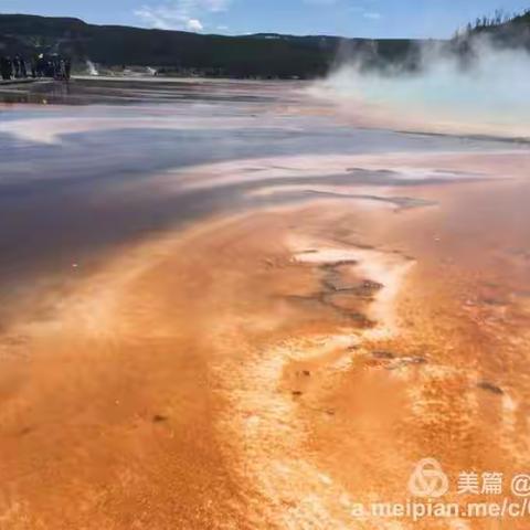 黄石公园、大提顿公园  美美美