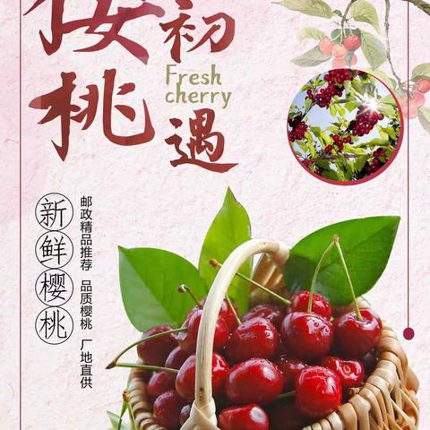 初遇樱桃，“果”真好味道🍒