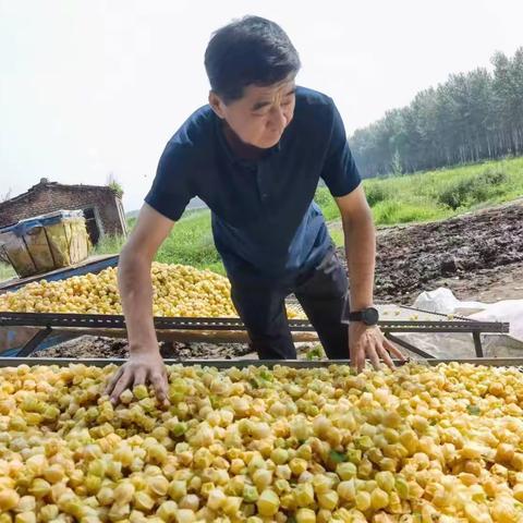 齐齐哈尔邮政特色直播--探索助力乡村振兴新模式✊✊