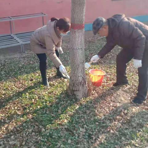 “为大树穿新衣”——清河镇中心小学进行刷树活动