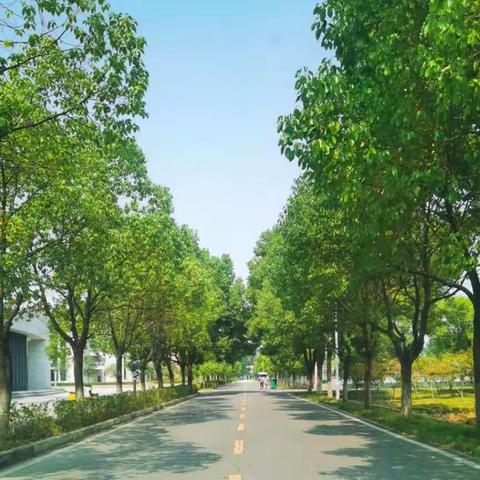 长大后，我就成了你！