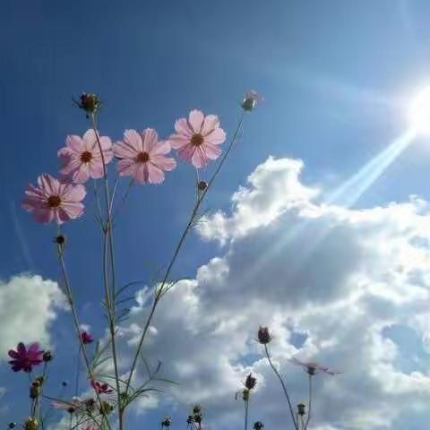 ❤️。春暖花开之奶奶9⃣️0⃣️大寿！