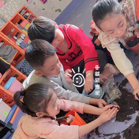 【课程故事】——我爱种植