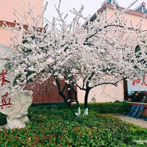 薛城区北临城小学线上教学二年级学生学习生活指导（二）———同心抗疫，线上花开