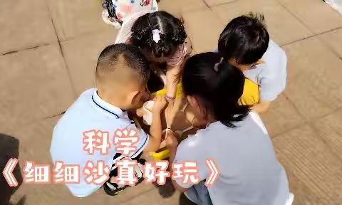 蓝天幼儿园小四班6.13-6.17一周剪影