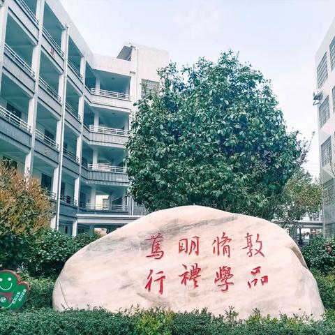 追梦青春，不负韶华——城西小学英语青年教师素养大赛