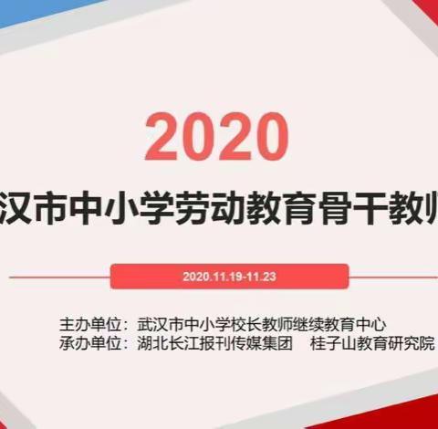 劳动育人促素养发展     因地制宜创劳育新篇 ——记2020年中小学劳动教育骨干教师培训