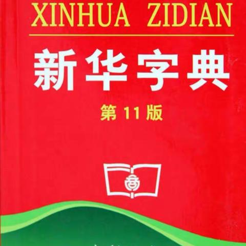 二十九中小学部校园吉尼斯_ _第八届查字典比赛