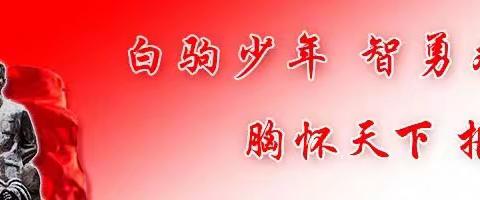 教以共进，研以致远——记海南白驹学校数学组第八周教研活动