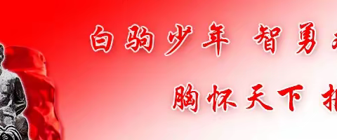 学习二十大，争做引路人——海南白驹学校数学组贯彻学习二十大报告精神专题活动