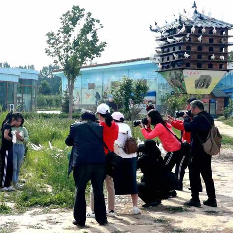 武邑最美摄影人___学习交流剪影