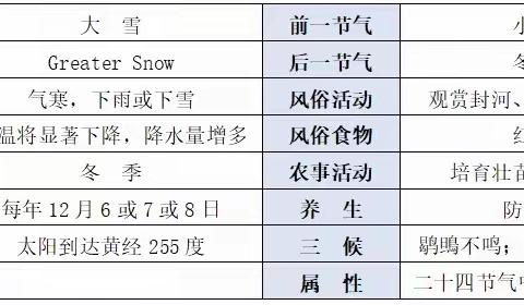 河西萌娃识“大雪”——新兴河西幼儿园大班组