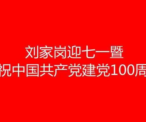 刘家岗村党支部开展迎七一暨庆祝中国共产党建党100周年专题会议