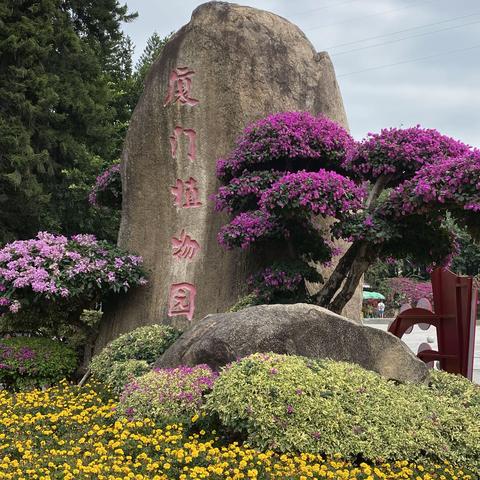 厦门之旅（5）植物园