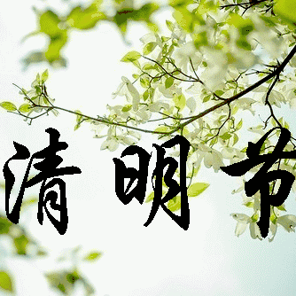 “从小学党史 永远跟党走系列活动”之清明节扫墓