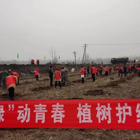 不负春光履“植”尽责，齐心栽绿播种希望