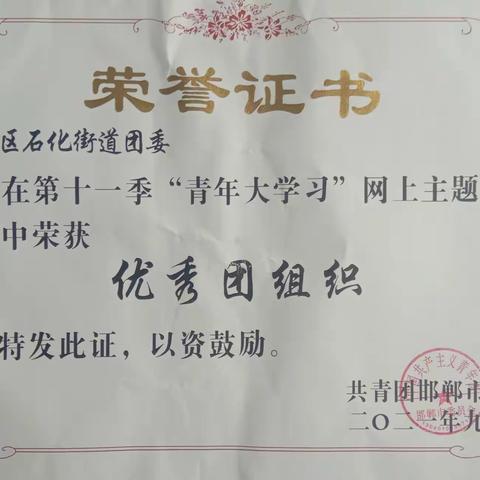 石化街道:让团徽在岗位上闪闪发光