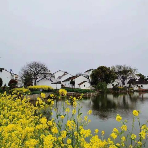 🌷🌸春暖花开🌸🌷🏡“居”家生活,👨‍👩‍👧‍👦精彩时光🌞