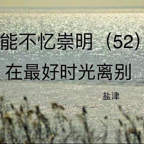 能不忆崇明（52）