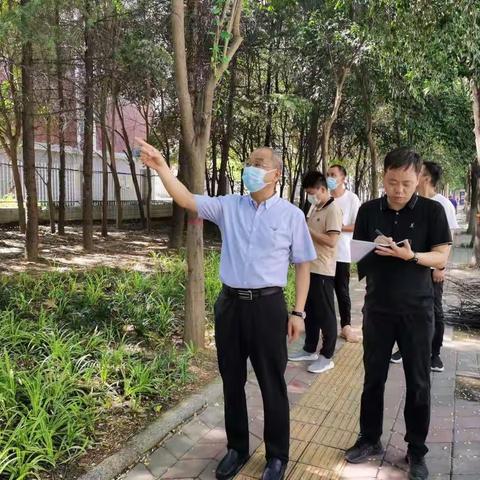 局党组副书记、副局长崔克涛对东城区公共绿地环境集中整治攻坚周活动进行督导