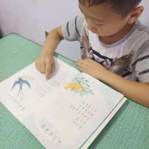 新村完全小学一三班申怡博